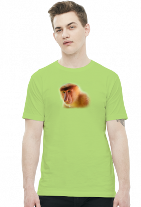 Nosacz t-shirt (różne kolory)