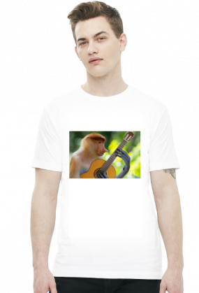 Nosacz gitarzysta (różne kolory)
