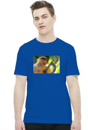 Nosacz gitarzysta (różne kolory)