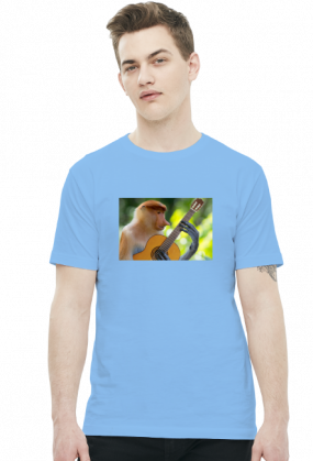 Nosacz gitarzysta (różne kolory)