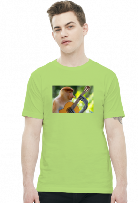 Nosacz gitarzysta (różne kolory)