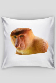 Poduszka Nosacz Polskości