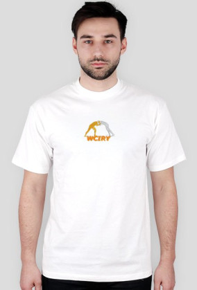 Wciry