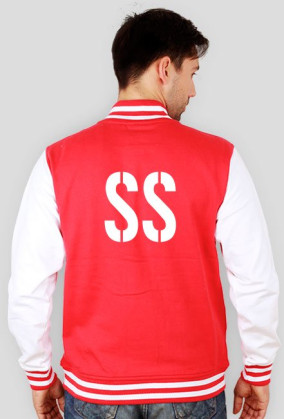 Bluza