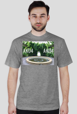 ak04 fountain