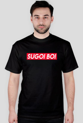 Sugoi Boi