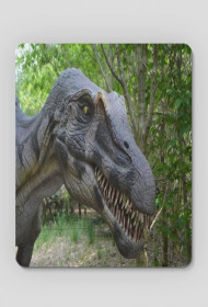 Podkladka T-Rex 1