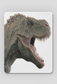 Podkladka T-Rex 3