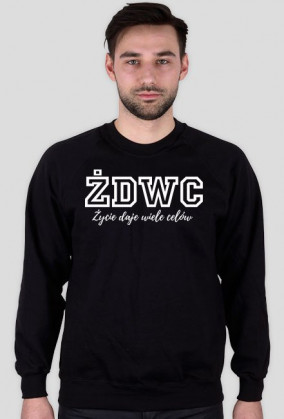 Bluza męska VINYL - 2Sides ŻDWC Collection, Black