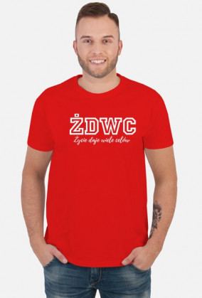 Koszulka męska STANDARD - 1Side ŻDWC Collection, Black