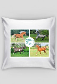 Poszewka Duet konie