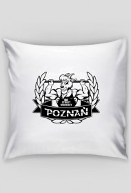 Poduszka progressu