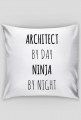 Architect by Day. Ninja by Night.