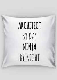Architect by Day. Ninja by Night.