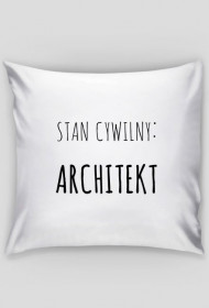 Stan cywilny: architekt