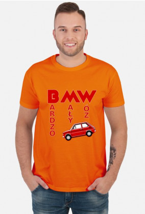 126p - Bardzo Mały Wóz (koszulka męska) jasna grafika