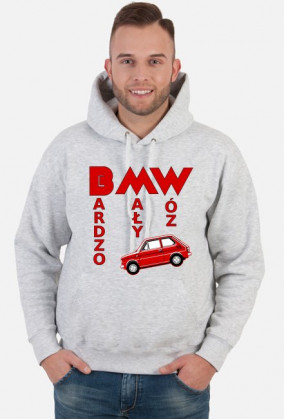 126p - Bardzo Mały Wóz (bluza męska kapturowa) ciemna grafika