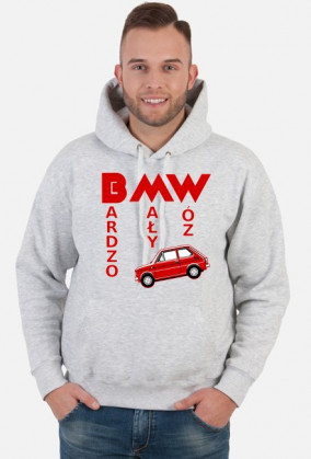 126p - Bardzo Mały Wóz (bluza męska kapturowa) jasna grafika