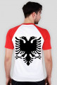 Albania soccer