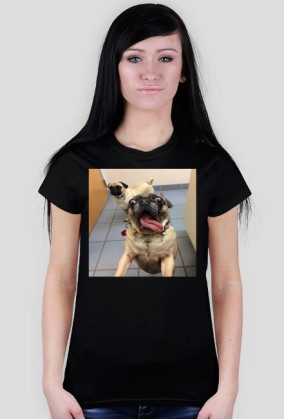 T-shirt pies