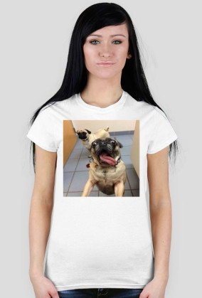 T-shirt pies