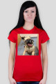 T-shirt pies