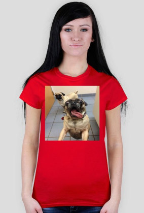 T-shirt pies