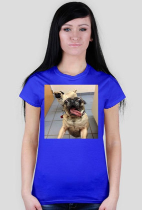 T-shirt pies