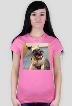T-shirt pies