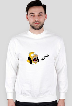 Swag-3-Sim-Bluza-Men
