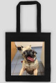 Torba mops