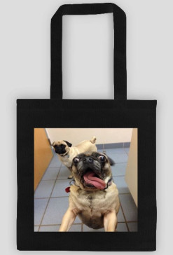 Torba mops