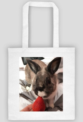 Strawberry Rabbit