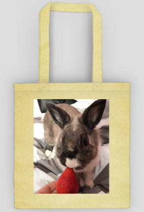 Strawberry Rabbit