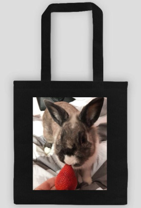 Strawberry Rabbit