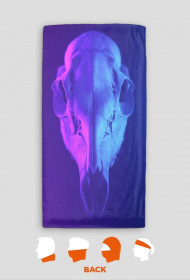 Retro Skull