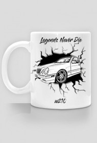 Legends Never Die W210