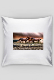 Poduszka konie