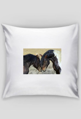 Poduszka konie
