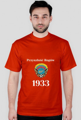 Koszulka 1933 kolor