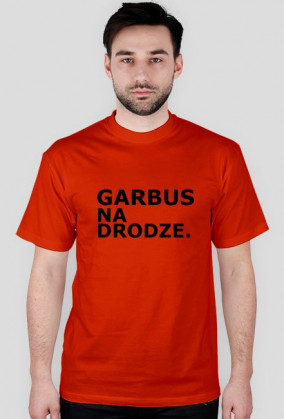 KOSZULKA GARBUS NA DRODZE.