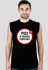 Pies w trakcie szkolenia - RÓŻNE KOLORY męska