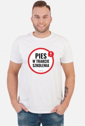 Pies w trakcie szkolenia - RÓŻNE KOLORY męska