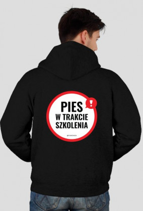 Pies w trakcie szkolenia - RÓŻNE KOLORY bluza męska