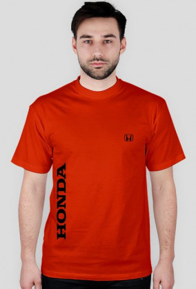 Koszulka meska Model HO/LO