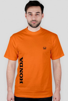 Koszulka meska Model HO/LO