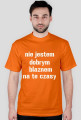 Stańczyk 2