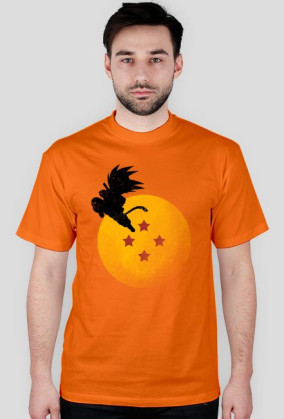 Dragon Ball - GOKU & 4 STAR BALL