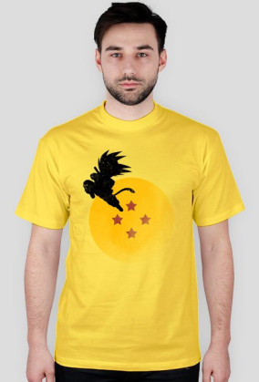 Dragon Ball - GOKU & 4 STAR BALL