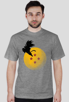 Dragon Ball - GOKU & 4 STAR BALL